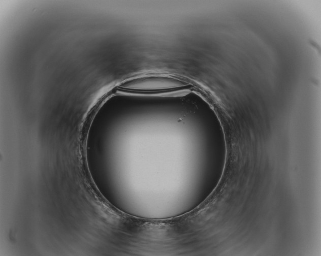 X0000096491168200801311612