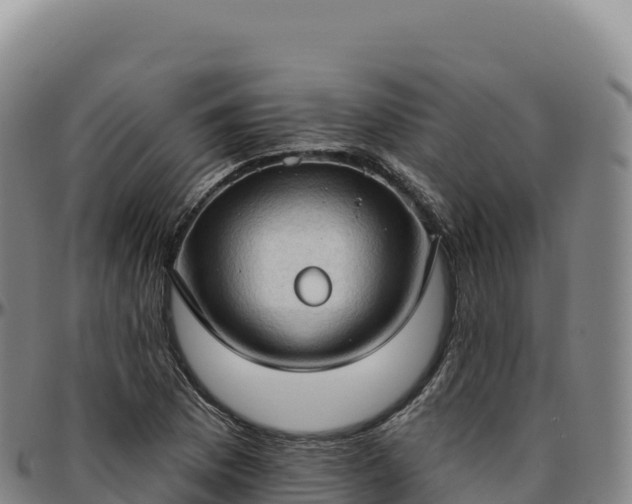 X0000096491169200801311612