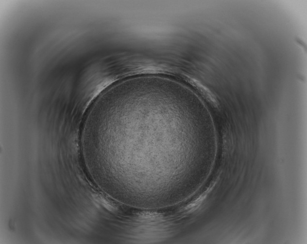 X0000096491170200801311612