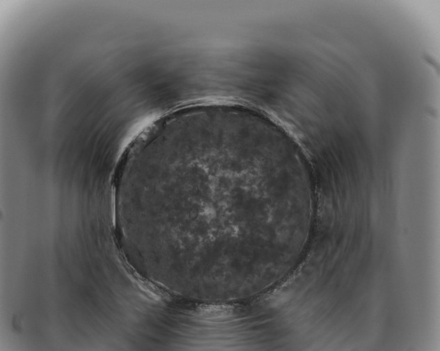 X0000096491171200801311612