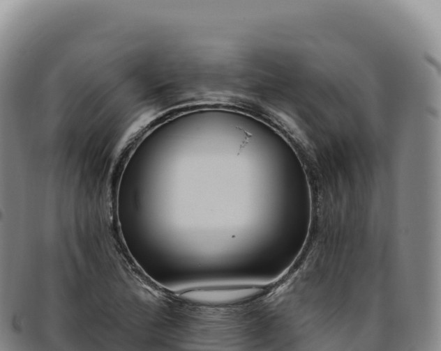 X0000096491172200801311612