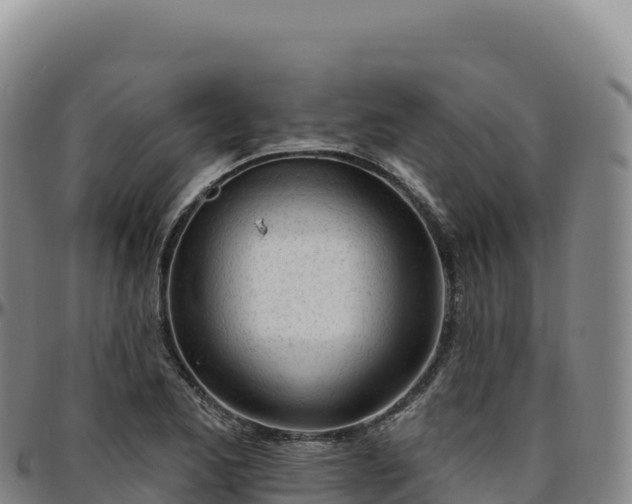 X0000096491173200801311612