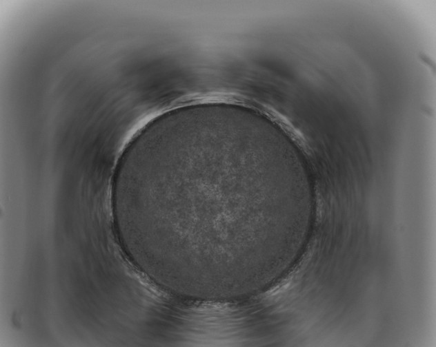 X0000096491174200801311612