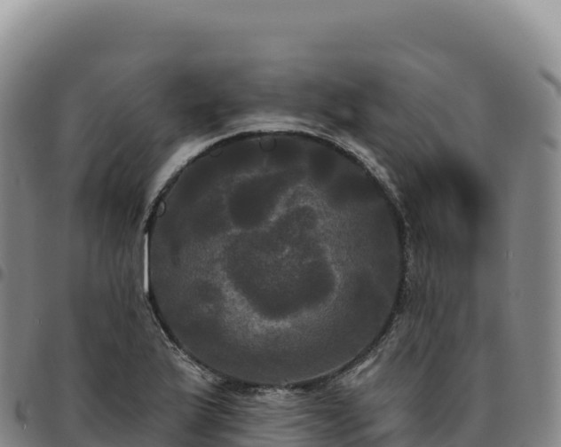 X0000096491175200801311612