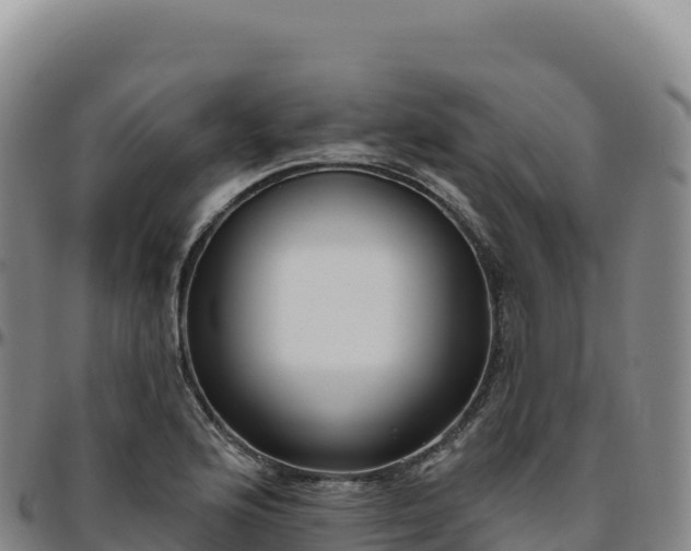 X0000096491176200801311612