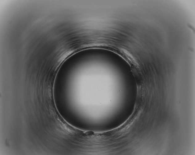 X0000096491177200801311612