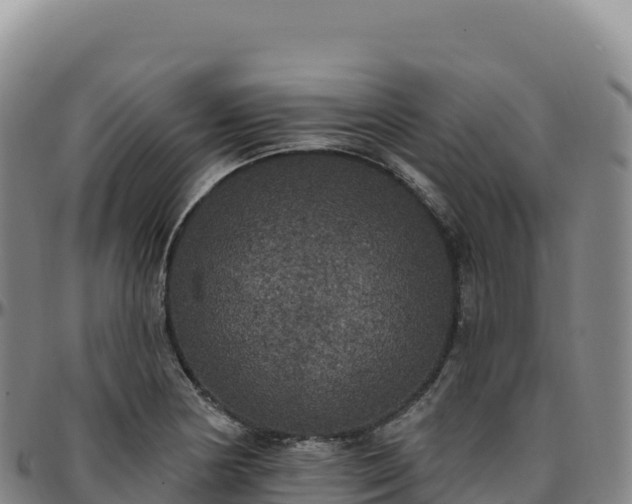 X0000096491178200801311612