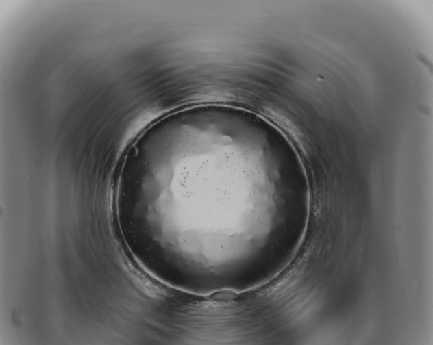 X0000096491179200801311611