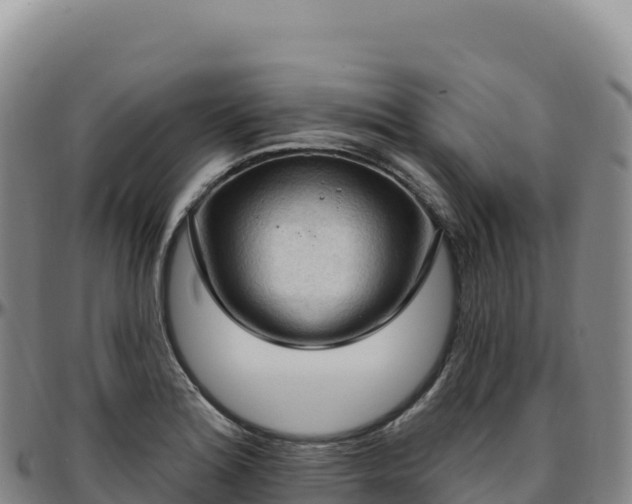 X0000096491180200801311611