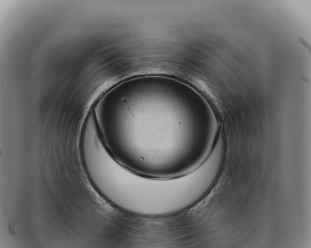 X0000096491181200801311611