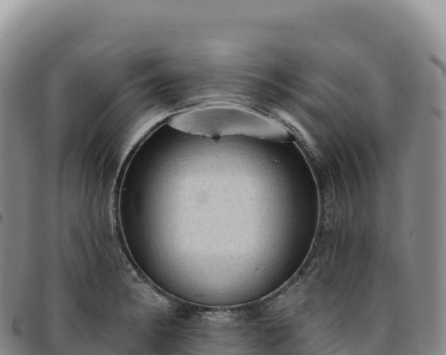 X0000096491182200801311611