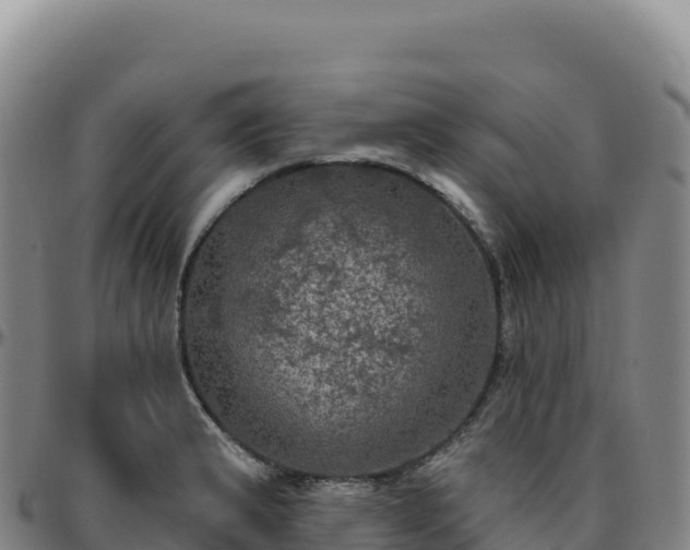 X0000096491183200801311611