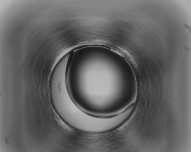 X0000096491184200801311611