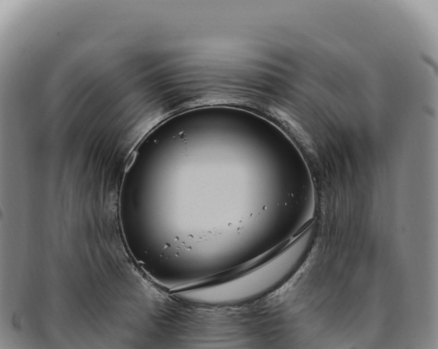 X0000096491185200801311611