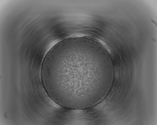 X0000096491186200801311611