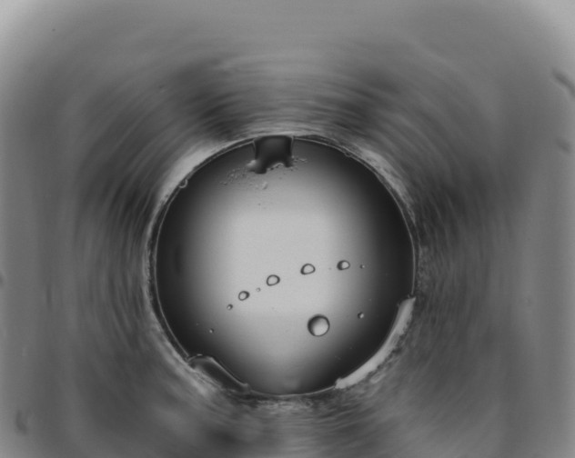 X0000096491187200801311611