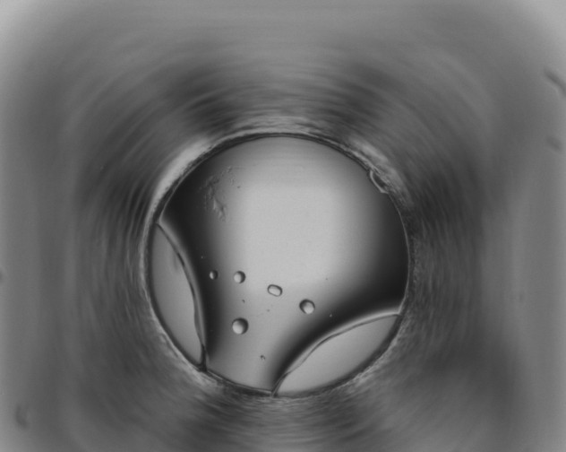 X0000096491188200801311611