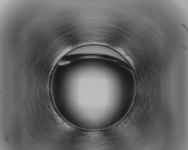 X0000096491189200801311611