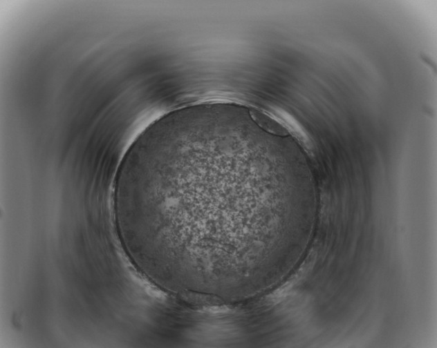 X0000096491190200801311611