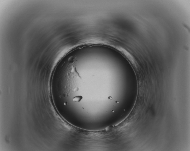 X0000096491191200801311611