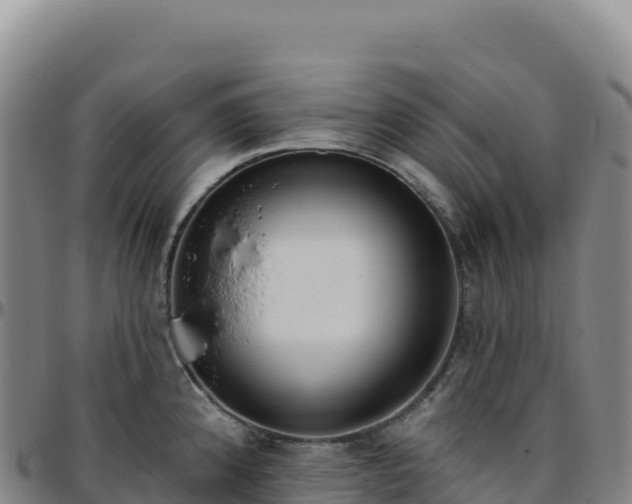 X0000096491192200801311611