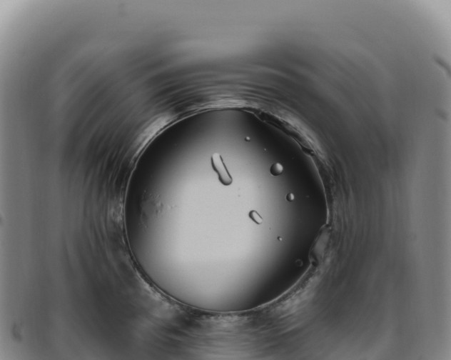 X0000096491193200801311611