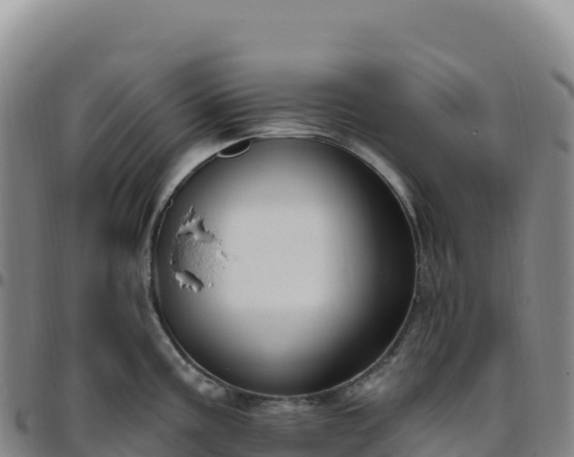 X0000096491195200801311611