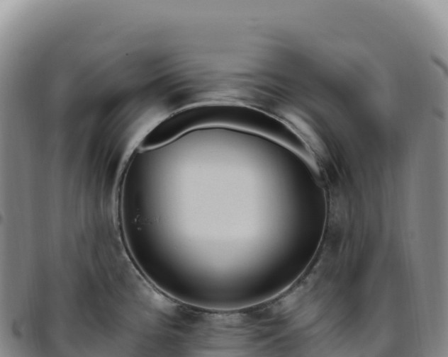 X0000096491196200801311611