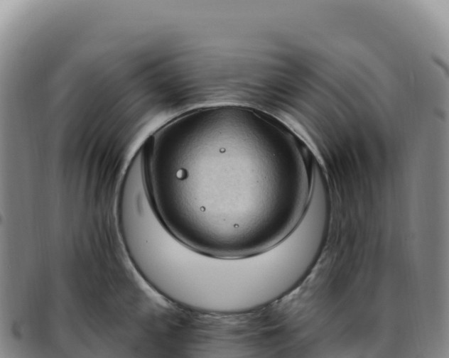 X0000096491197200801311611