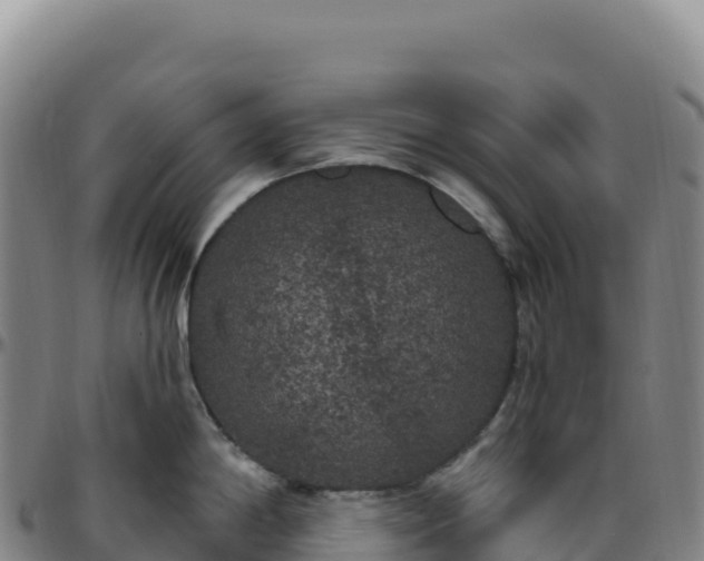 X0000096491198200801311611