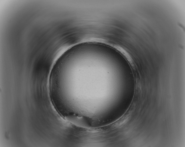 X0000096491199200801311611