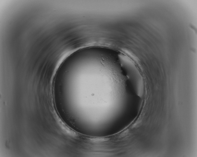 X0000096491200200801311611