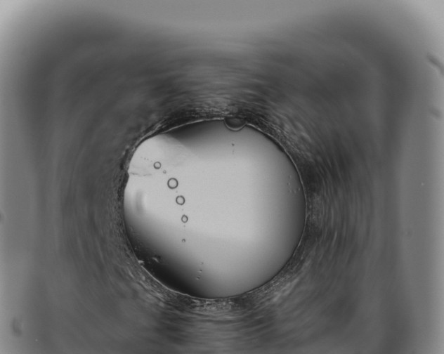 X0000096491201200801311611