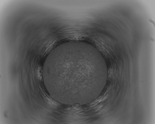 X0000096491202200801311611