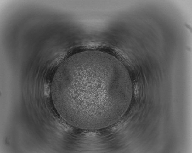 X0000096491204200801311611