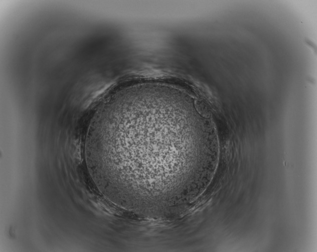 X0000096491205200801311611