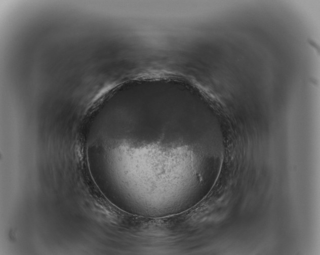 X0000096491206200801311611