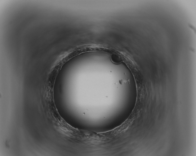 X0000096491207200801311611