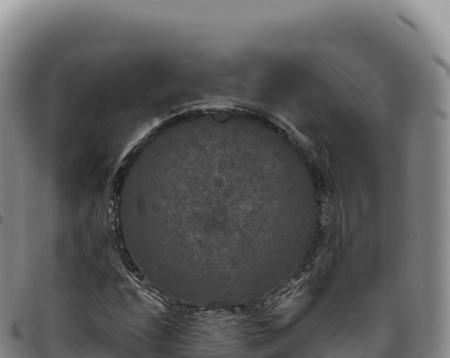 X0000096491208200801311611