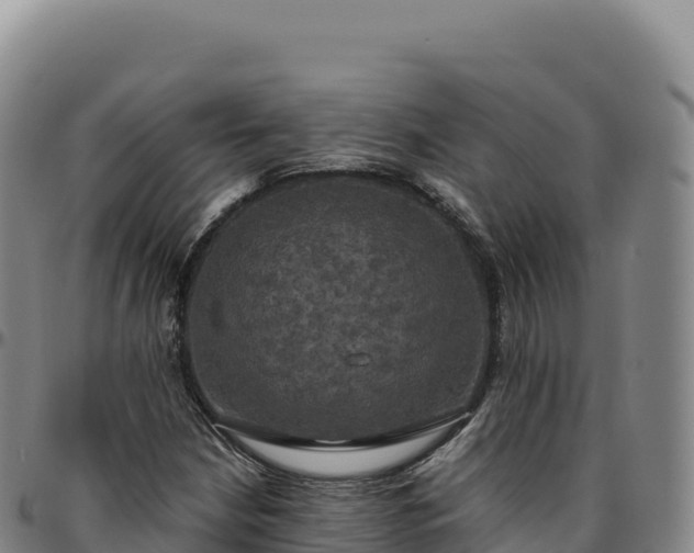 X0000096491210200801311611