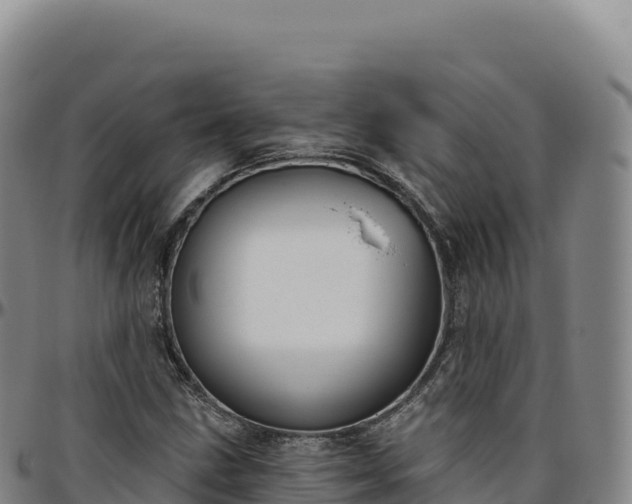 X0000096491211200801311611