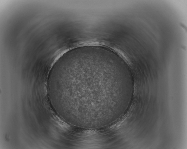 X0000096491212200801311611