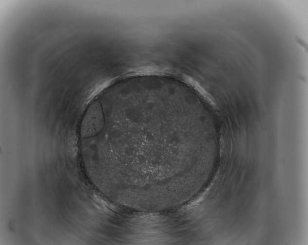 X0000096491213200801311611