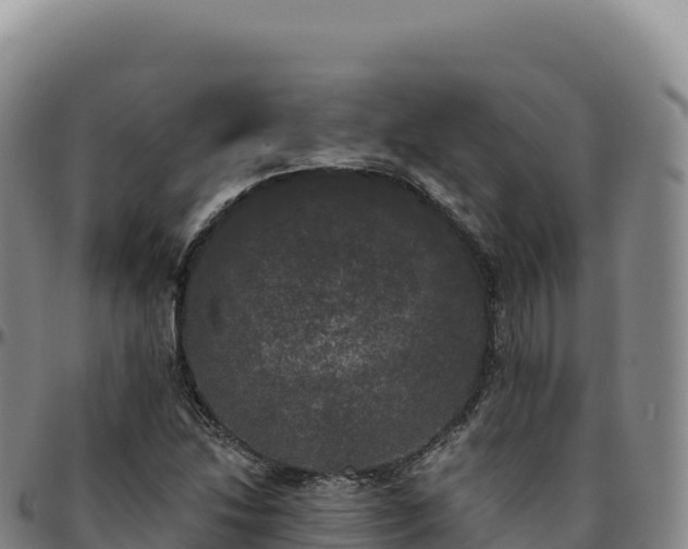 X0000096491214200801311611