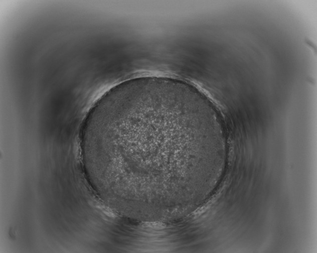 X0000096491215200801311611