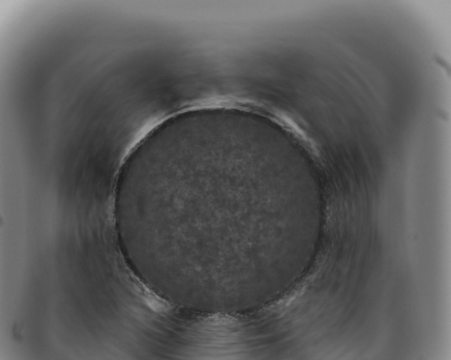 X0000096491216200801311611