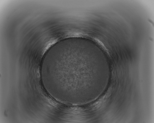 X0000096491218200801311611