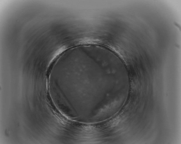 X0000096491219200801311611