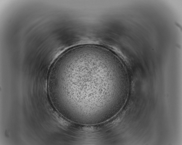 X0000096491220200801311611