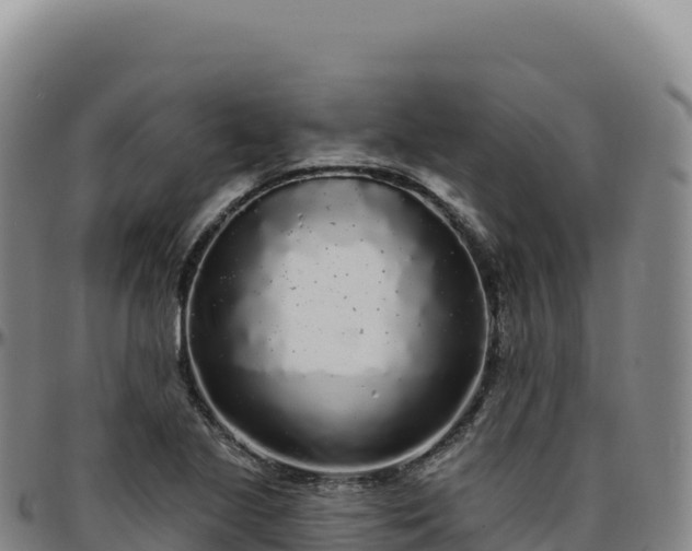 X0000096491221200801311611